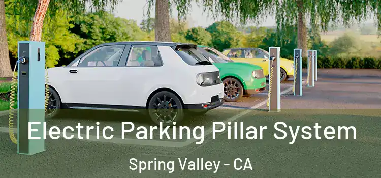  Electric Parking Pillar System Spring Valley - CA