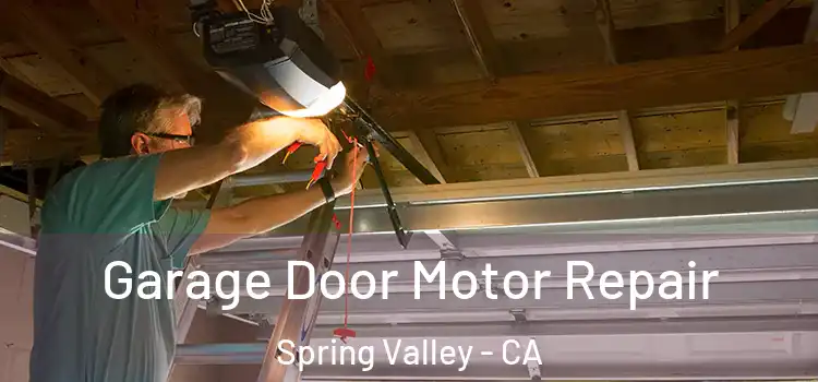 Garage Door Motor Repair Spring Valley - CA