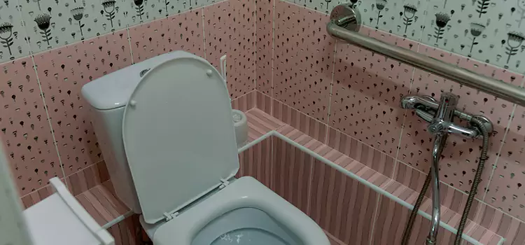 Meeting Diverse Needs With Accessible Restroom Solutions in Spring Valley, CA