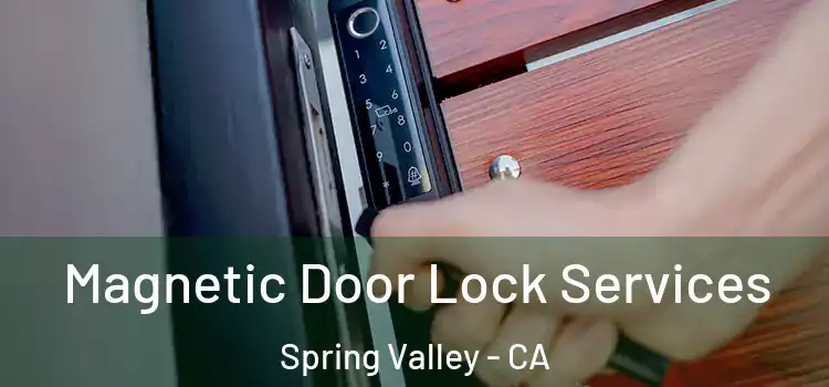  Magnetic Door Lock Services Spring Valley - CA