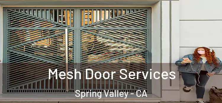 Mesh Door Services Spring Valley - CA