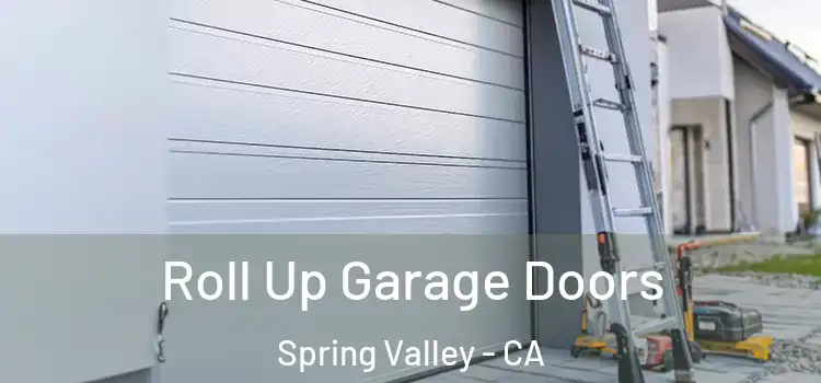  Roll Up Garage Doors Spring Valley - CA