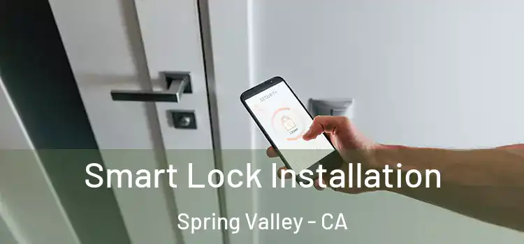 Smart Lock Installation Spring Valley - CA